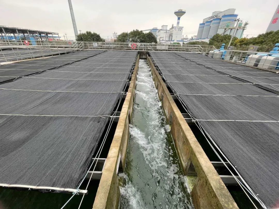 宁波实施五大工程，打造“再生水”全国标杆——污水处理及再生利用的宁波实践
